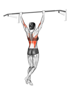 Seated Low Bar Pull-up 