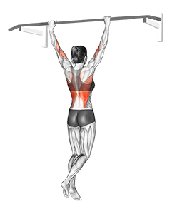 Seated Pull-up between Chairs - Video Guide