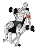 Dumbbell Incline Alternate Bicep Curl