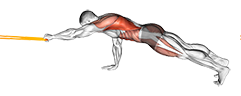 Resistance Band Front Plank with Single Arm Pulldown