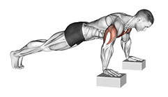 Elevanted Push-Up