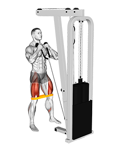 Cable cheap squat machine