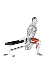 Bulgarian Jump Squat