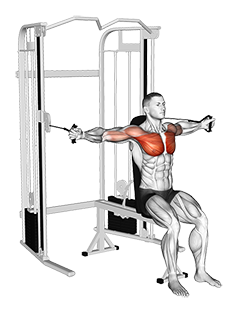 Cable Lower Chest Raise