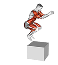 Jump on Fit-Box