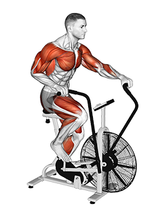Assault Bike Run