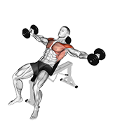 https://apilyfta.com/static/GymvisualPNG/39671101-Dumbbell-Incline-Around-the-World_Shoulders_small.png