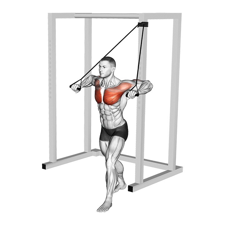 Band standing chest press Video Guide Lyfta