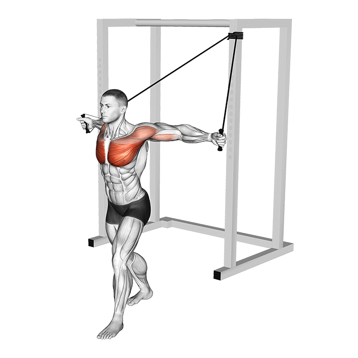 Band Alternate Low Chest Fly Video Guide Lyfta