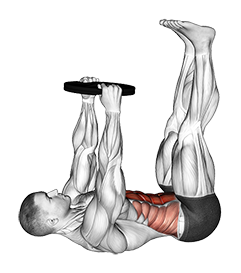 Straight leg best sale weighted sit ups