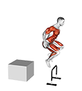 Depth Jump to Hurdle Hop