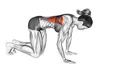 Nightwing порно онлайн көру