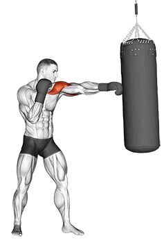 Boxing Jab