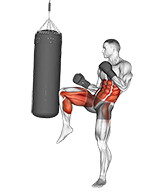 Front Groin Kick Kickboxing