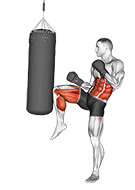 Front Snap Kick Kickboxing