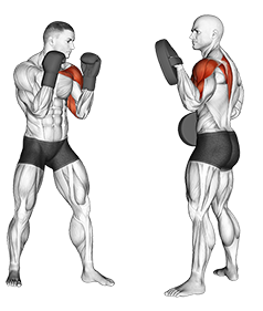Boxing Jab