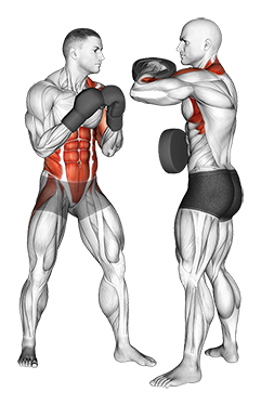 Boxing Left Uppercut
