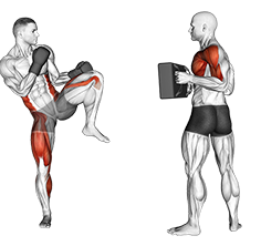 Front Kick Kickboxing