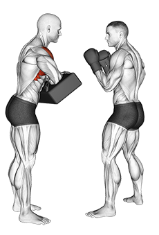Front Knee Kick Kickboxing
