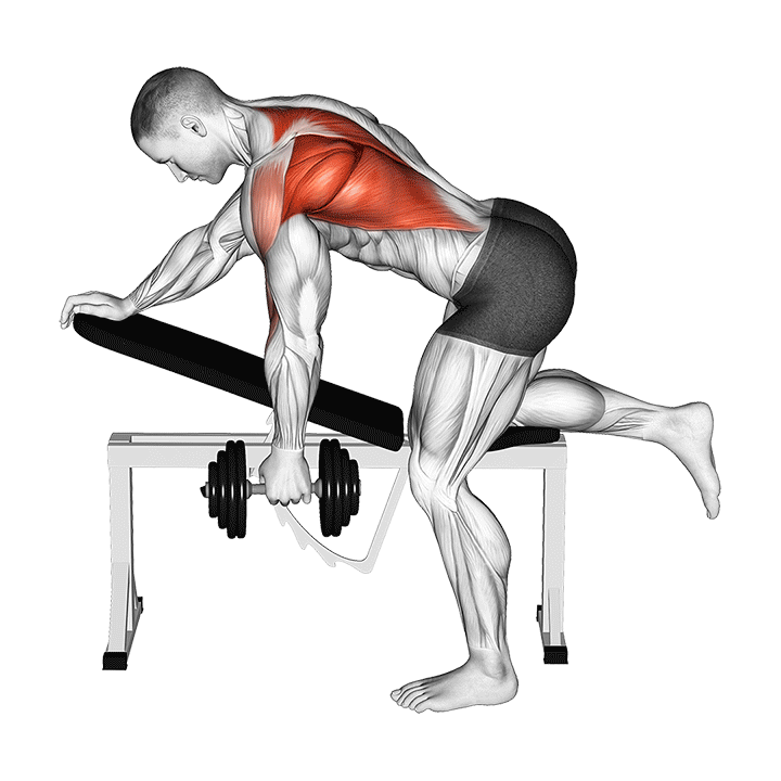 One Arm Bent Over Row The Best Bent Over Row Alternatives Garage Gym