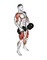 Dumbbell Hang Power Clean