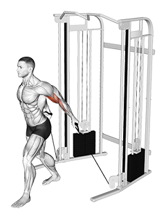Cable Unilateral Bicep Curl