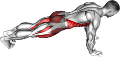 Knee To Elbow Touch Front Plank