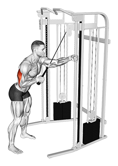 Cable Single Arm Triceps Pushdown (Rope Attachment)