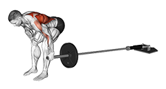 Landmine One Arm Bent Over Row (Version 2)