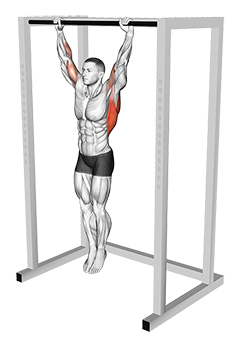 Dead Hang Stretch