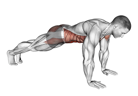 Plank on Hands