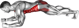 Plank Shoulder Tap