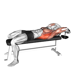 Dumbbell Pullover (VERSION 2)