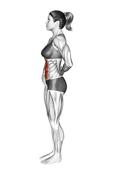 Standing Abdominal Vacuum (female)