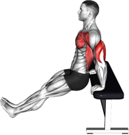 Chest Dip on Bench