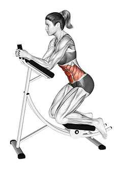 نمایش حرکت کرانچ دستگاه Ab Coaster اهرمی (زن)