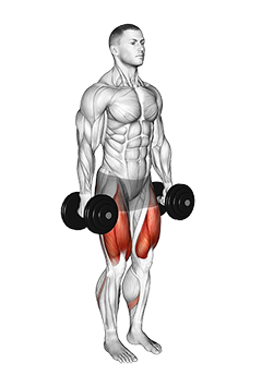 نمایش حرکت اسکوات پا جمع با دمبل (آقایان)