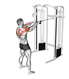 Cable Standing Face Pull (with rope)