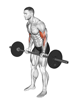 نمایش حرکت چیت کرل