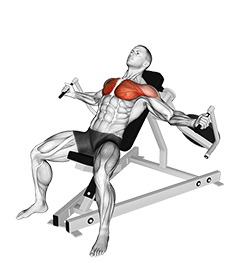 Lever Incline Fly (male)