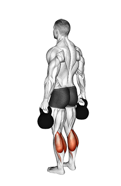Kettlebell Standing Calf Raise
