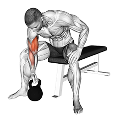 Kettlebell Concentration Curl