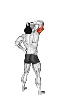 Kettlebell Standing One Arm Extension
