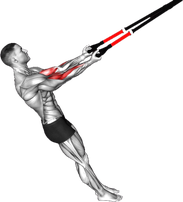 Suspender Arm Curl