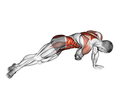 Side Plank Pull (male)