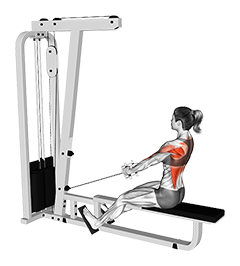 Cable Low Seated Row with V bar (female)