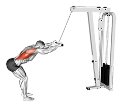 Cable Straight Arm Pulldown (VERSION 2)