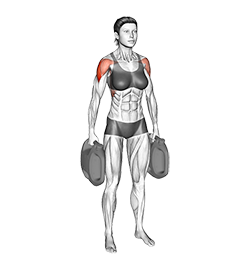 Bottle Weighted Lateral Raise (female)