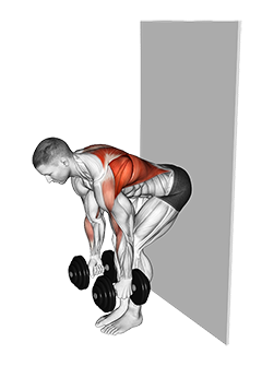 Dumbbell Bent Over Row against Wall