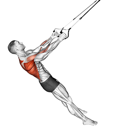 Suspender Row (male)